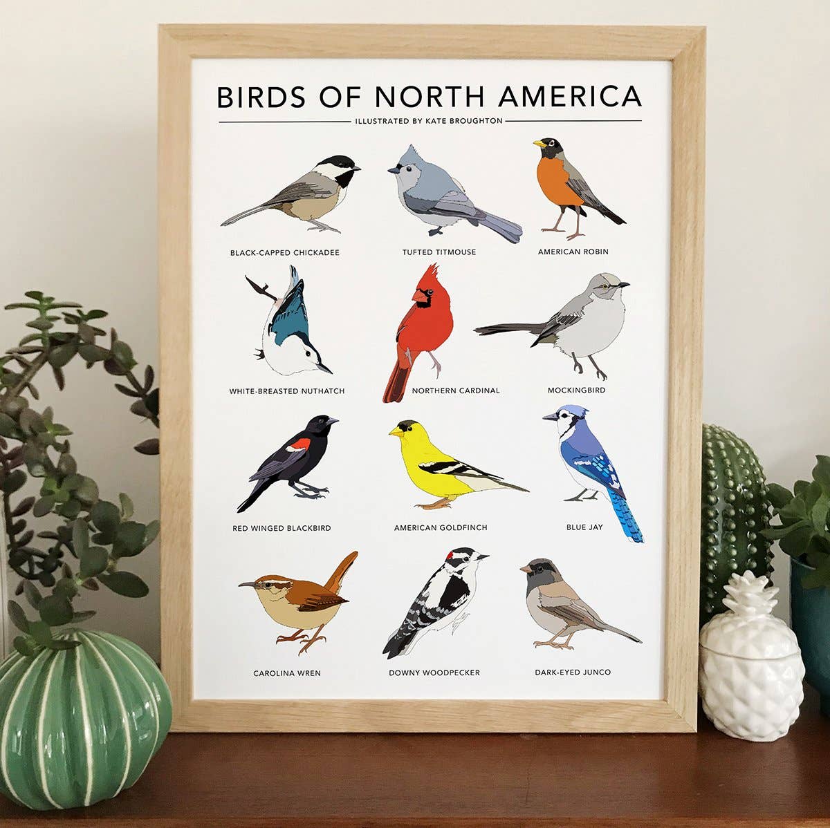Kate Broughton – wholesale Art print – Birds of North America Print0