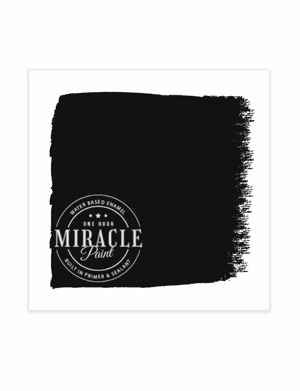 Amy Howard at Home - Wholesale Paint Set - Miracle Paint - Black6
