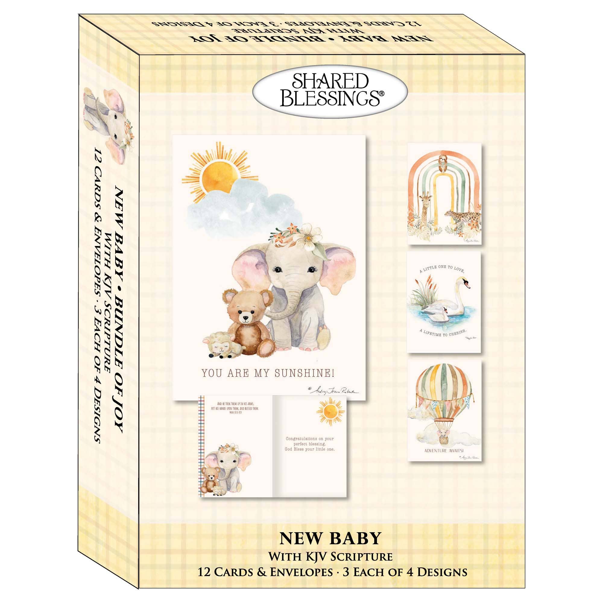 Crown Point Graphics - Wholesale Baby Card - Bundle of Joy - Box of 12 Assorted New Baby Cards2