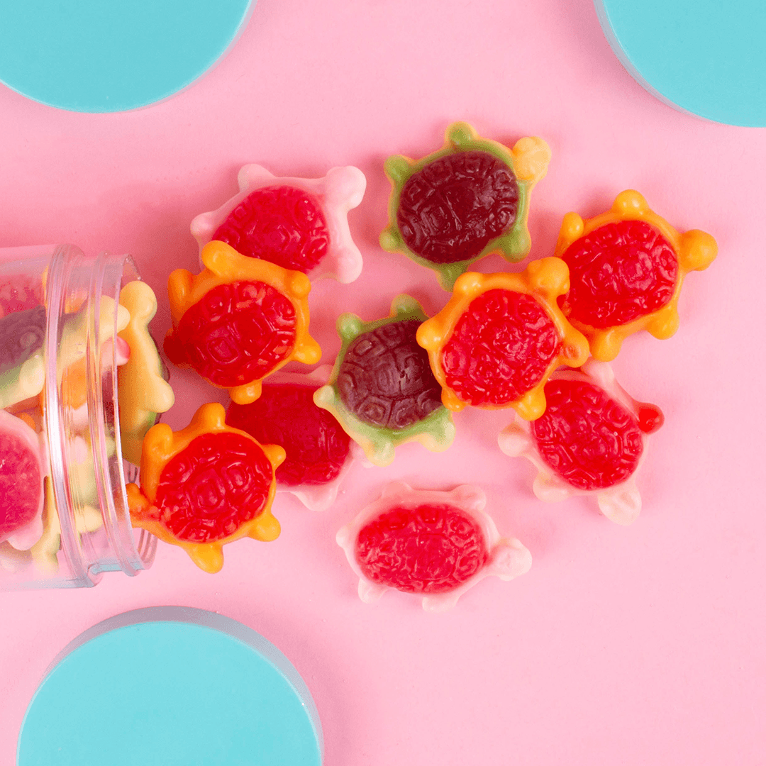 Candy Club - Wholesale Gummy - Jellyshell Sea Turtles2