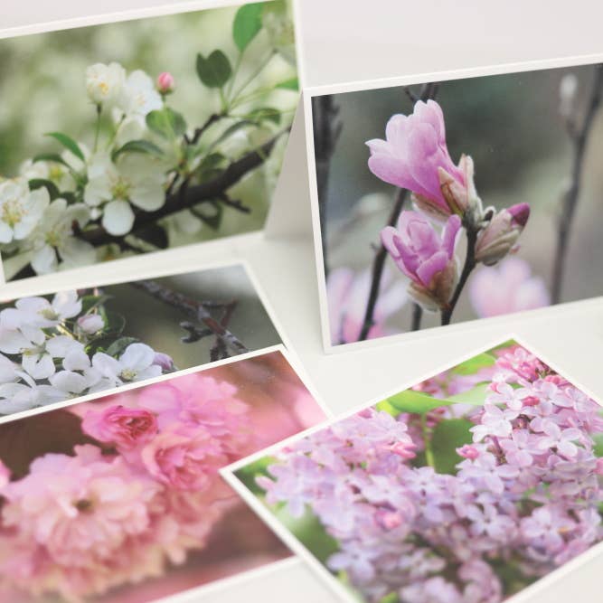 New England Prints - Wholesale Stationery/Notecard Set - Box of 5 All Occasion Spring Blossom Blank Note Cards4