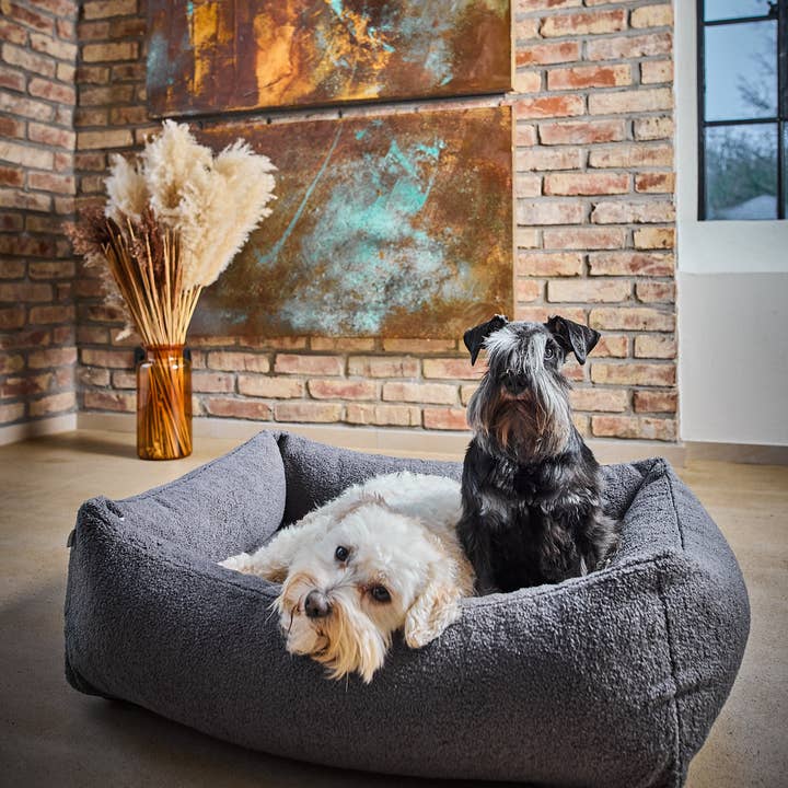 LABONI - Volentis GmbH – wholesale Pet bed – Dog – TEDDY classic pet bed21