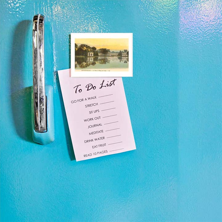 Found Image Press - Wholesale Magnet - Magnet WT-07 Carp Pond by Fontainebleau Palace, France1