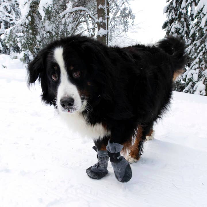 FINNERO - Wholesale Pet Boots - Dog - FINNERO HALLA LUX Soft Winter Booties For Dogs, 2 pcs/pack3