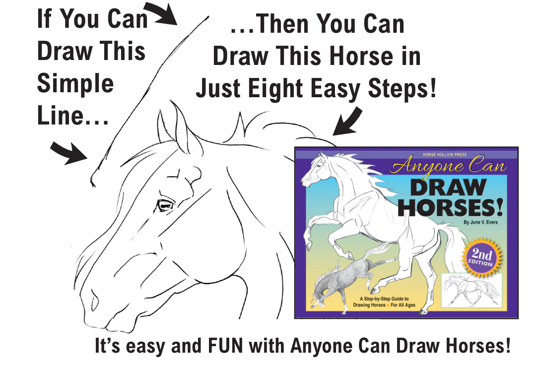 Horse Hollow Press / Pretty, Funny, Snarky Cards & Stickers - Wholesale Coloring & Activity Book - Adult - Art Book Horse Equestrian / Anyone Can Draw Horses / All Age2