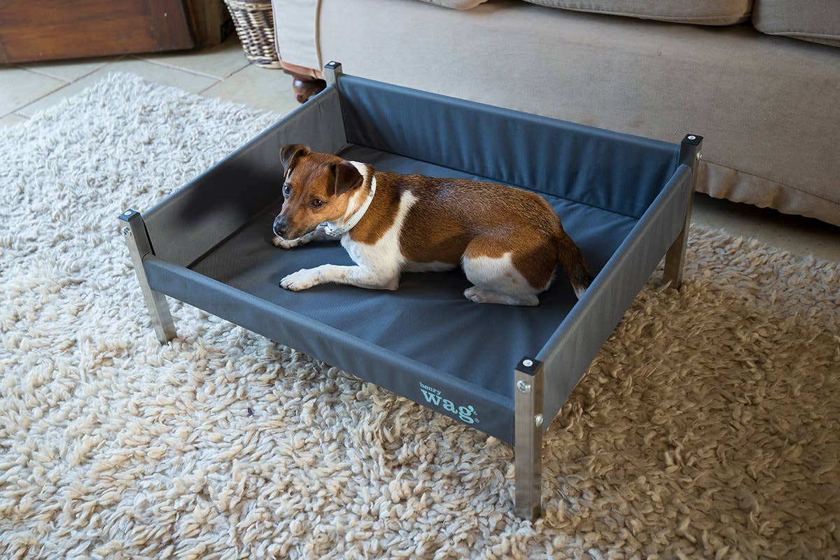 Henry Wag – wholesale Pet bed – Dog – Henry Wag Elevated Dog Bed2
