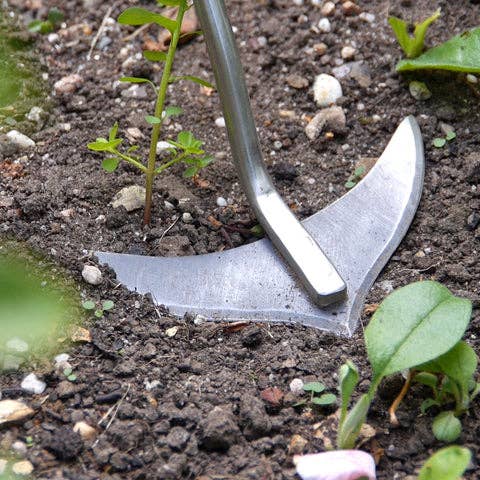 Burgon & Ball - Wholesale Garden Tool - Hand Weed Slice