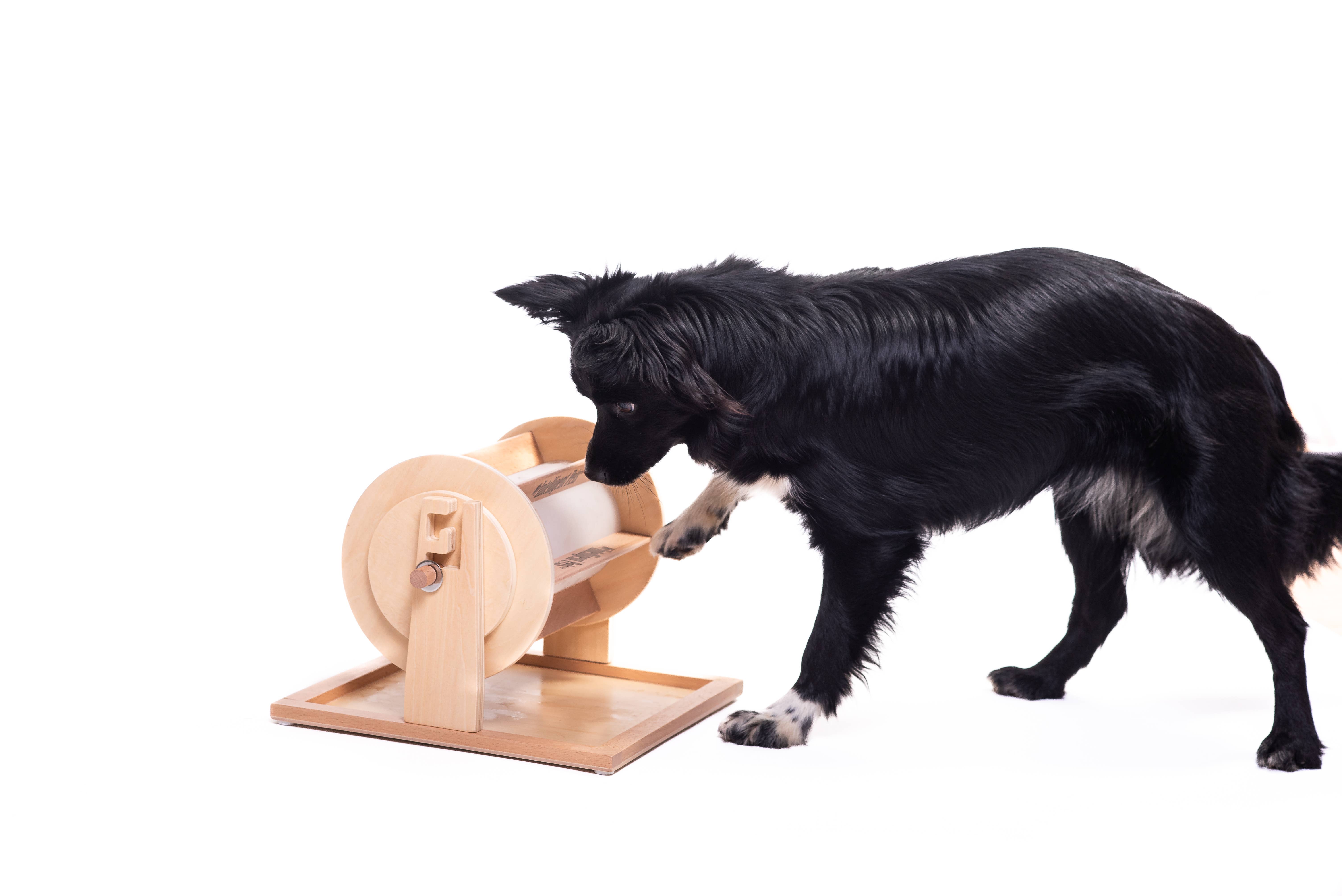 My Intelligent Dogs - Wholesale Pet Toy - Cat/Dog - Wheel of Fortune - Pet Toy of the Year - pet treat dispenser2