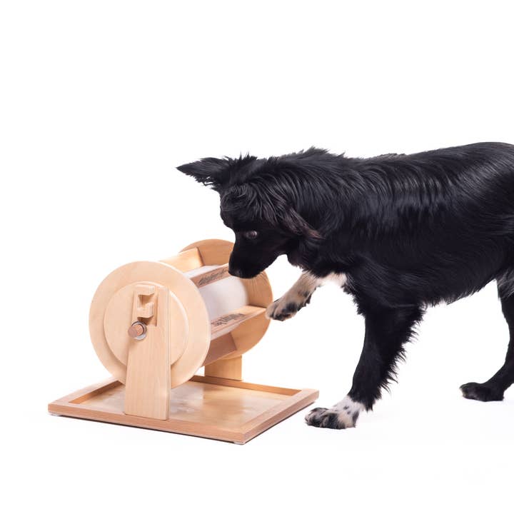 My Intelligent Dogs - Wholesale Pet Toy - Cat/Dog - Wheel of Fortune - Pet Toy of the Year - pet treat dispenser2