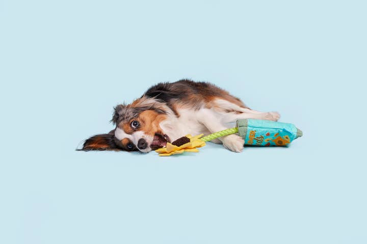 Pet Palette Distribution - Wholesale Pet Plush Toy - Dog - BARK Funflower Seeds Rope Dog Toy1