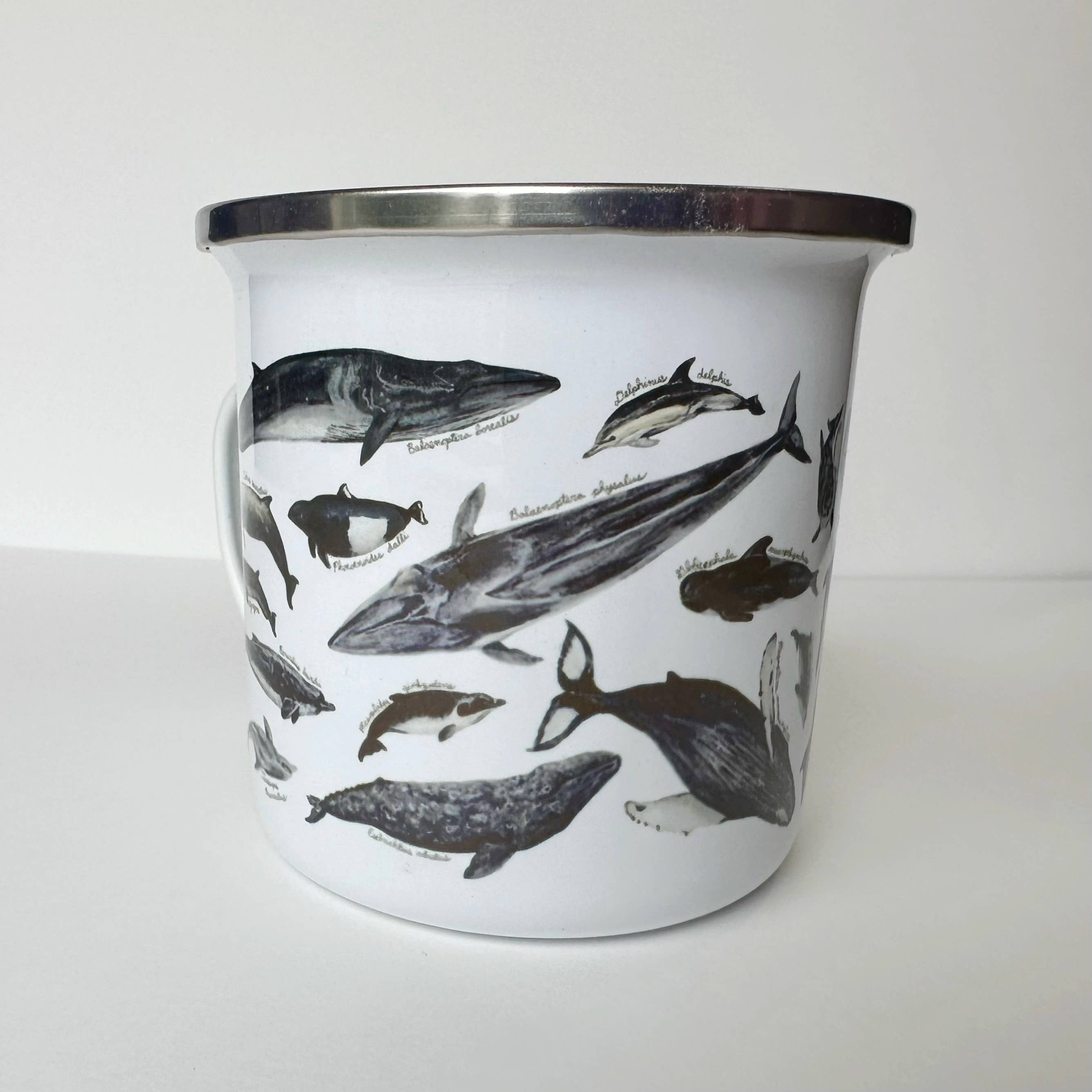 Brush & Bark - Wholesale Coffee Mug - Whales and Dolphins Camping Mug2