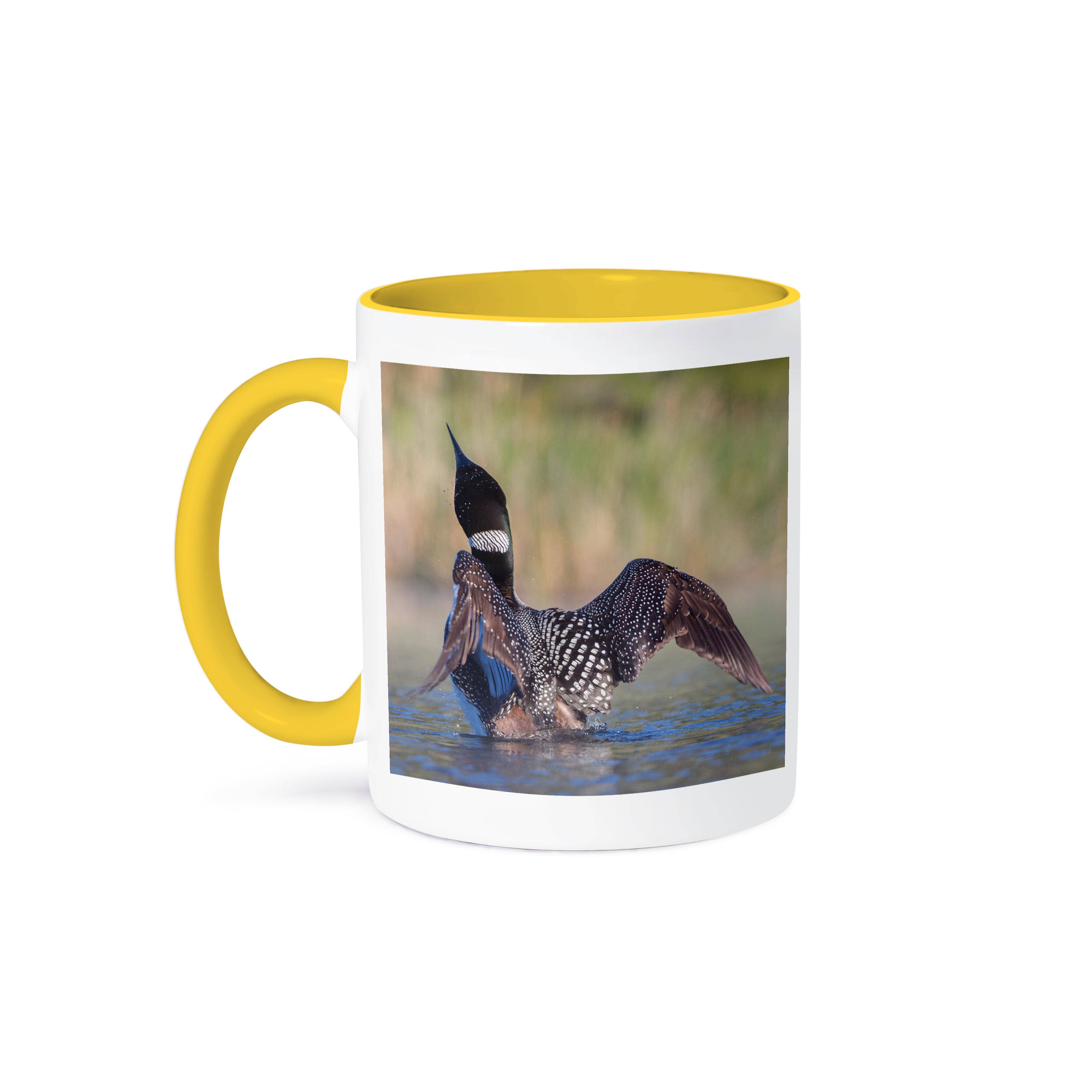 3dRose - Wholesale Coffee Mug - 3dRose, Canada, B.C., Adult Common Loon in breeding plumage flaps its wings., Mug0