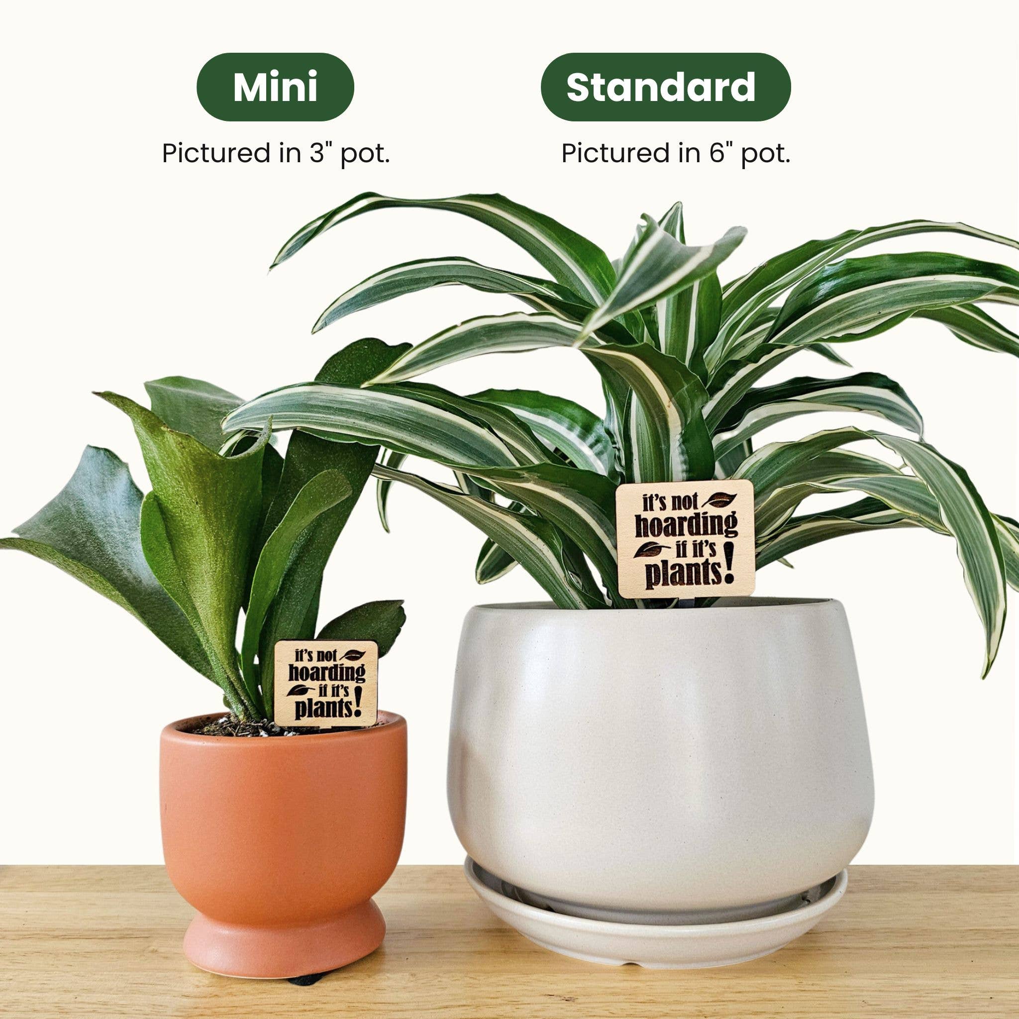 Leaf & Node - Wholesale Plant Pot - Funny Plant Sayings, Indoor Plant Accessories - Plant Stakes12