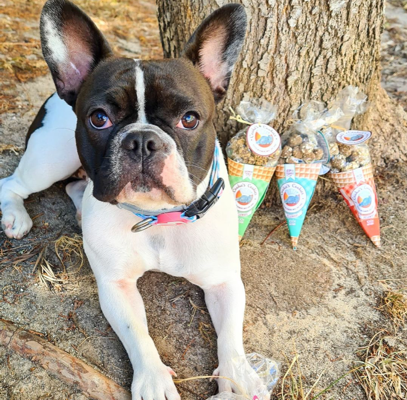 Cooka's Cookies - Wholesale Pet Treats - Dog - Beijinhos Turkey - Crunchy and Natural Turkey dog treats4