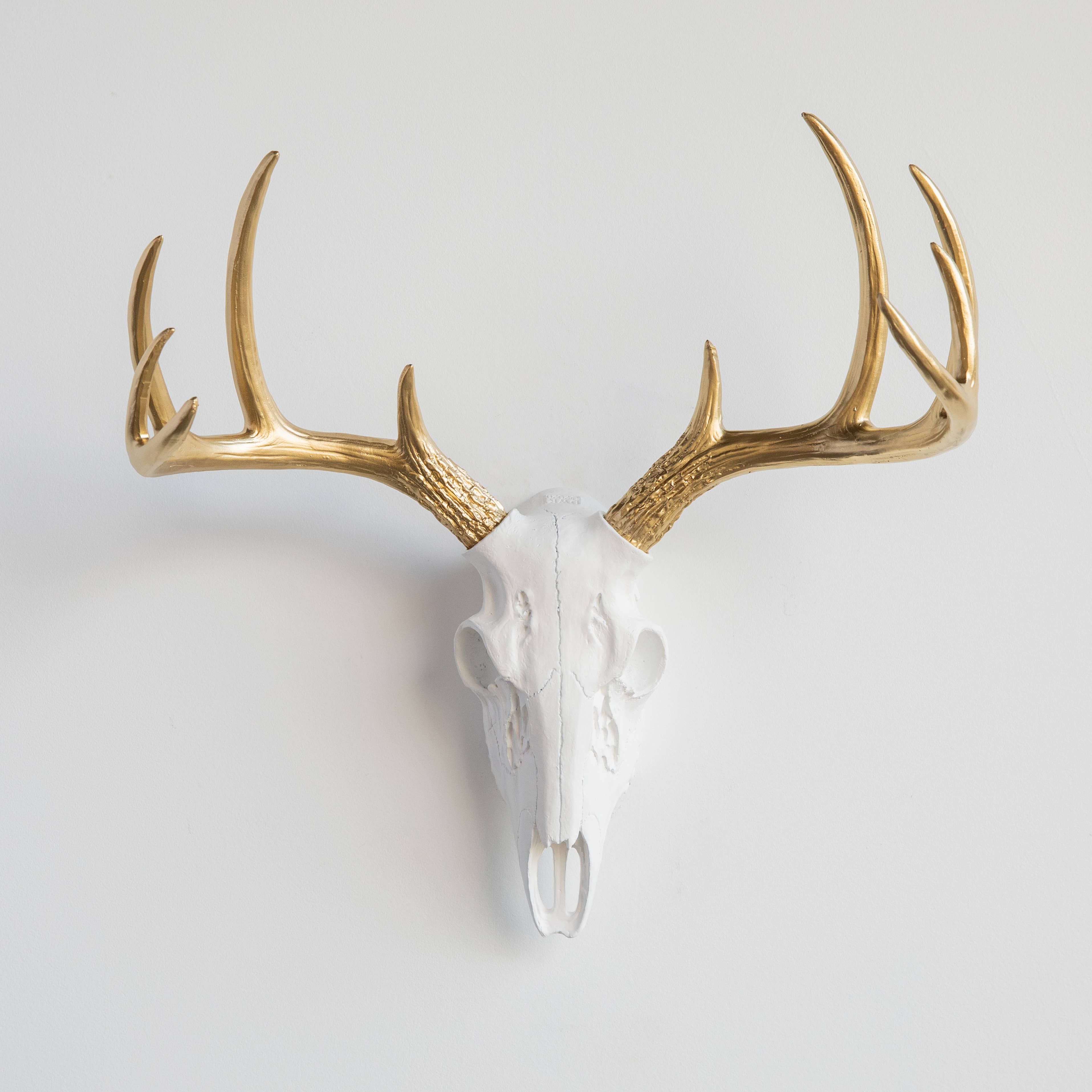 Near and Deer - Wholesale Dimensionele/3D-muurkunst - Faux Mini Buck Skull muursteun2