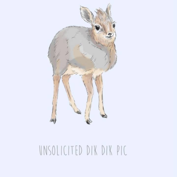 Hidden Planet - Wholesale Valentine's Day Card - Unsolicited Dik Dik Pic, funny valenines Card