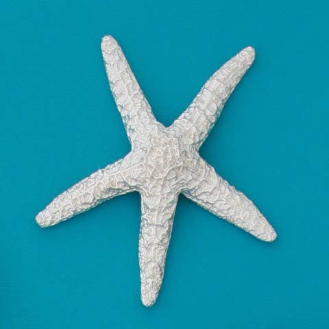 Large Starfish for wholesale by Basic Spirit