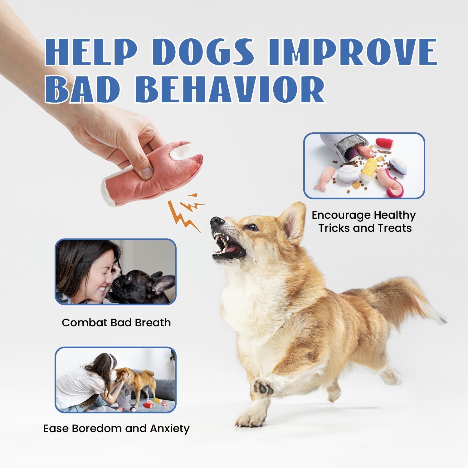 Nocciola – Großhandel Haustier-Quietschspielzeug – Hund – Nocciola 10er-Set Meeresfrüchte-Bündel kleine Hundespielzeuge mit Quietscher und Knisterfolie gegen Langeweile3