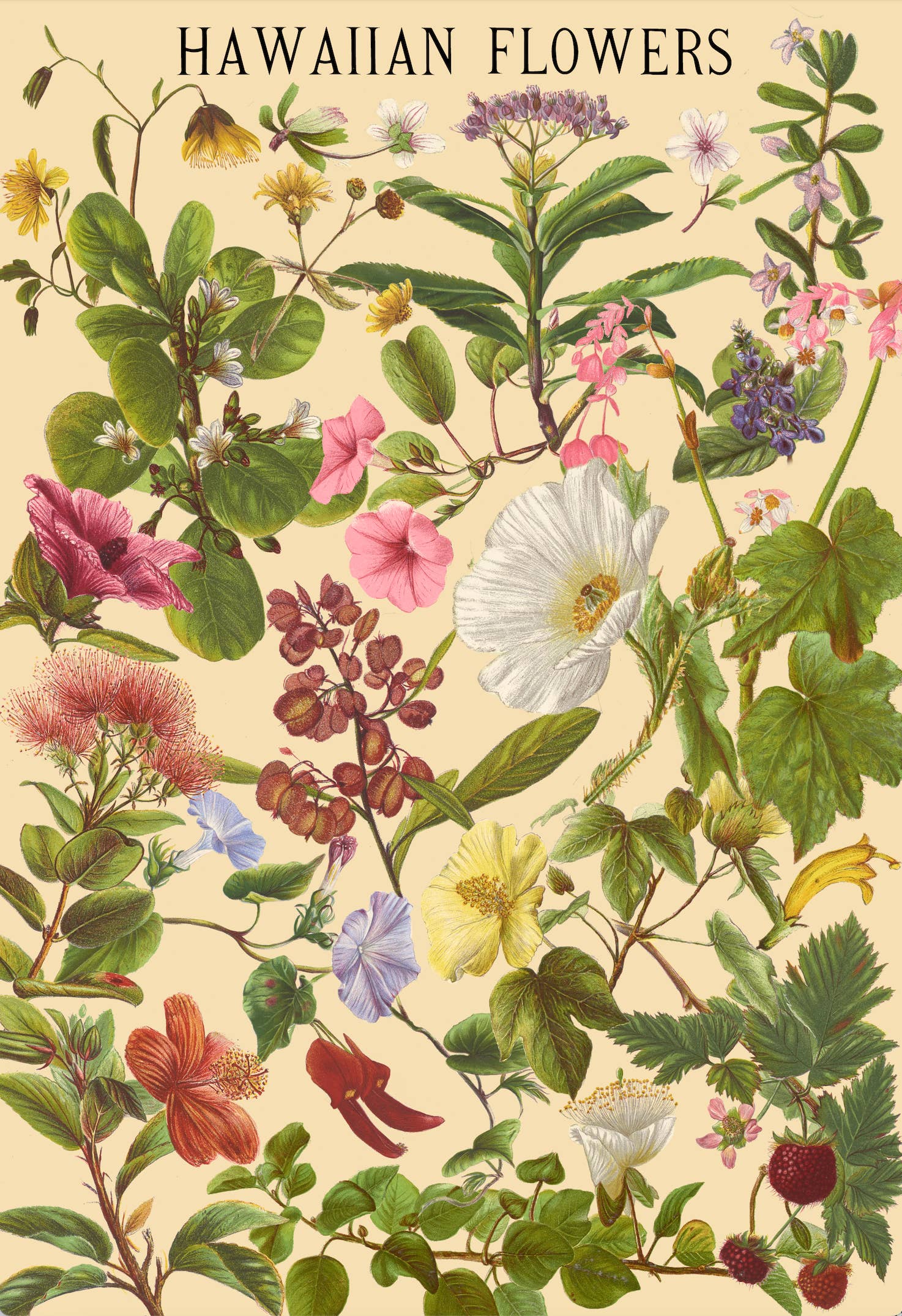 Surf Shack Puzzles - Wholesale Puzzle - Adult - Hawaiian Flowers by Laulima Hawaii