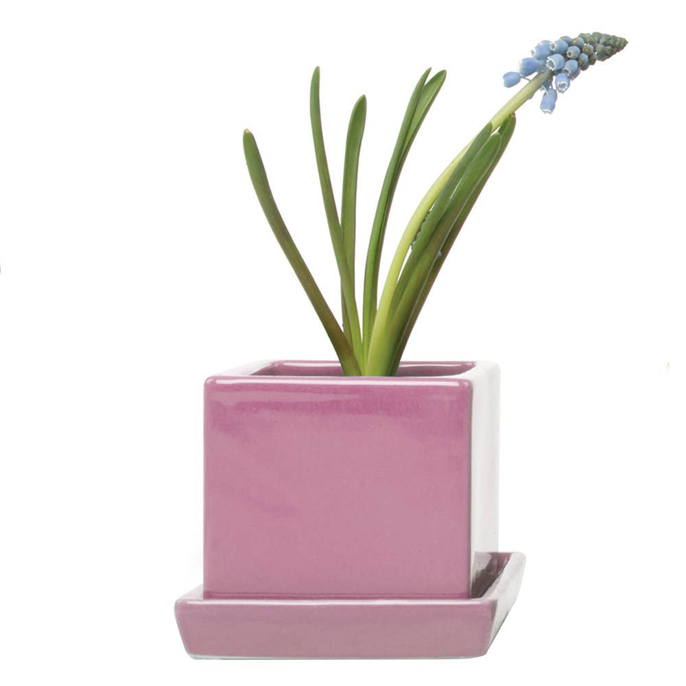 Chive - Wholesale Plant Pot - Cube Pot With Saucer And Drainage Hole 60 Plus Colors14