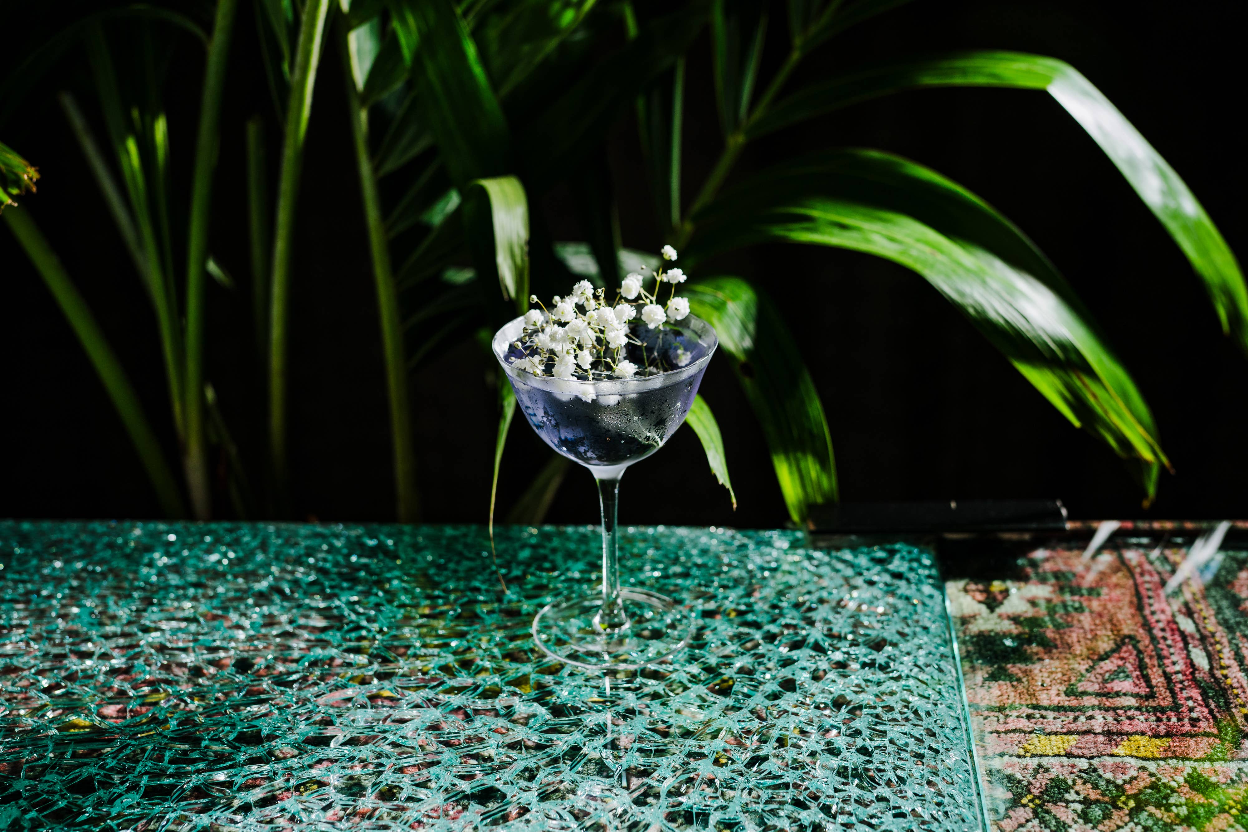 Hospitality Glass - Wholesale Cocktail/Liquor Glass - Blossom 7.25 oz. Coupe2