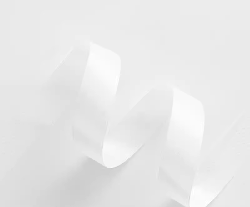 Casa Style – wholesale Ribbon – Gift wrapping – Satin Ribbon (2.5cm x 100yard)2