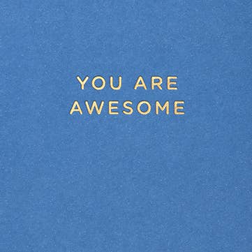 YOU ARE AWESOME BIRTHDAY GREETING CARD 3.5 x 4.75" for wholesale by Calypso Cards LLC