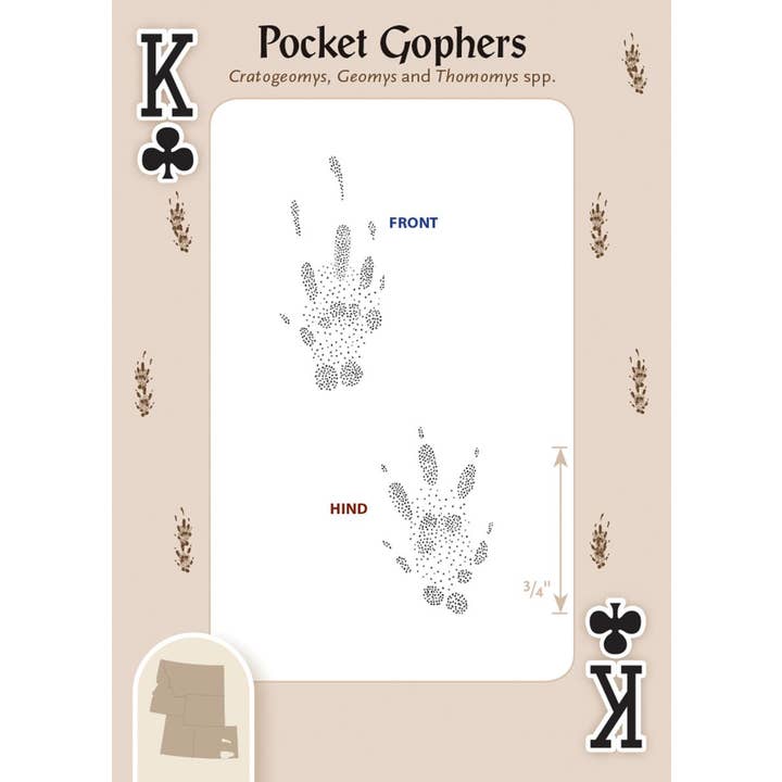 AdventureKEEN - Wholesale Playing Cards - Animal Tracks of Rocky Mountains Playing Cards1
