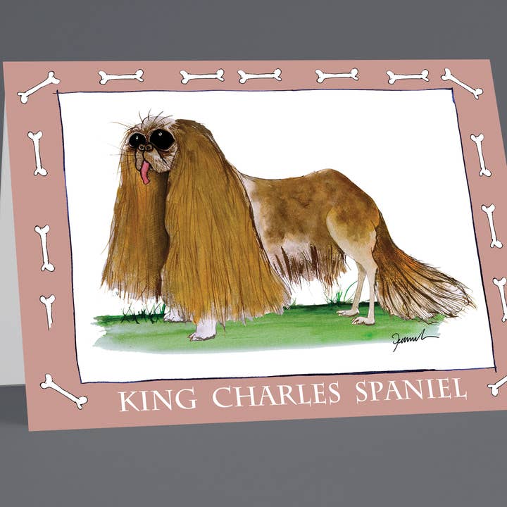 King Charles Spaniel greeting cards (pack of 6) for wholesale by Tony Fernandes Design