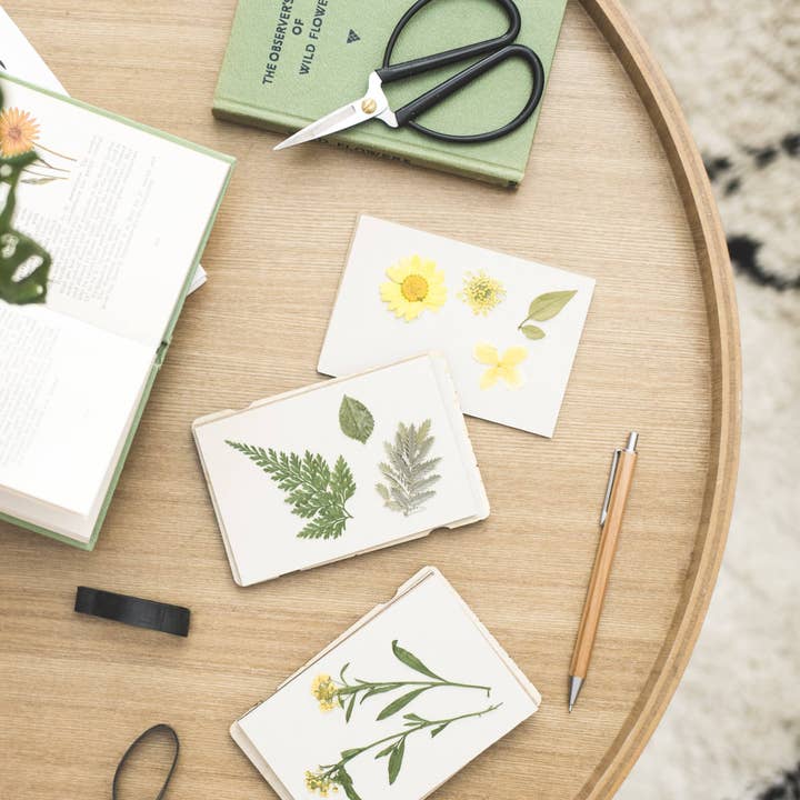 Studio Wald - Wholesale DIY Craft Kit - Pocket Flower Press - Daisy