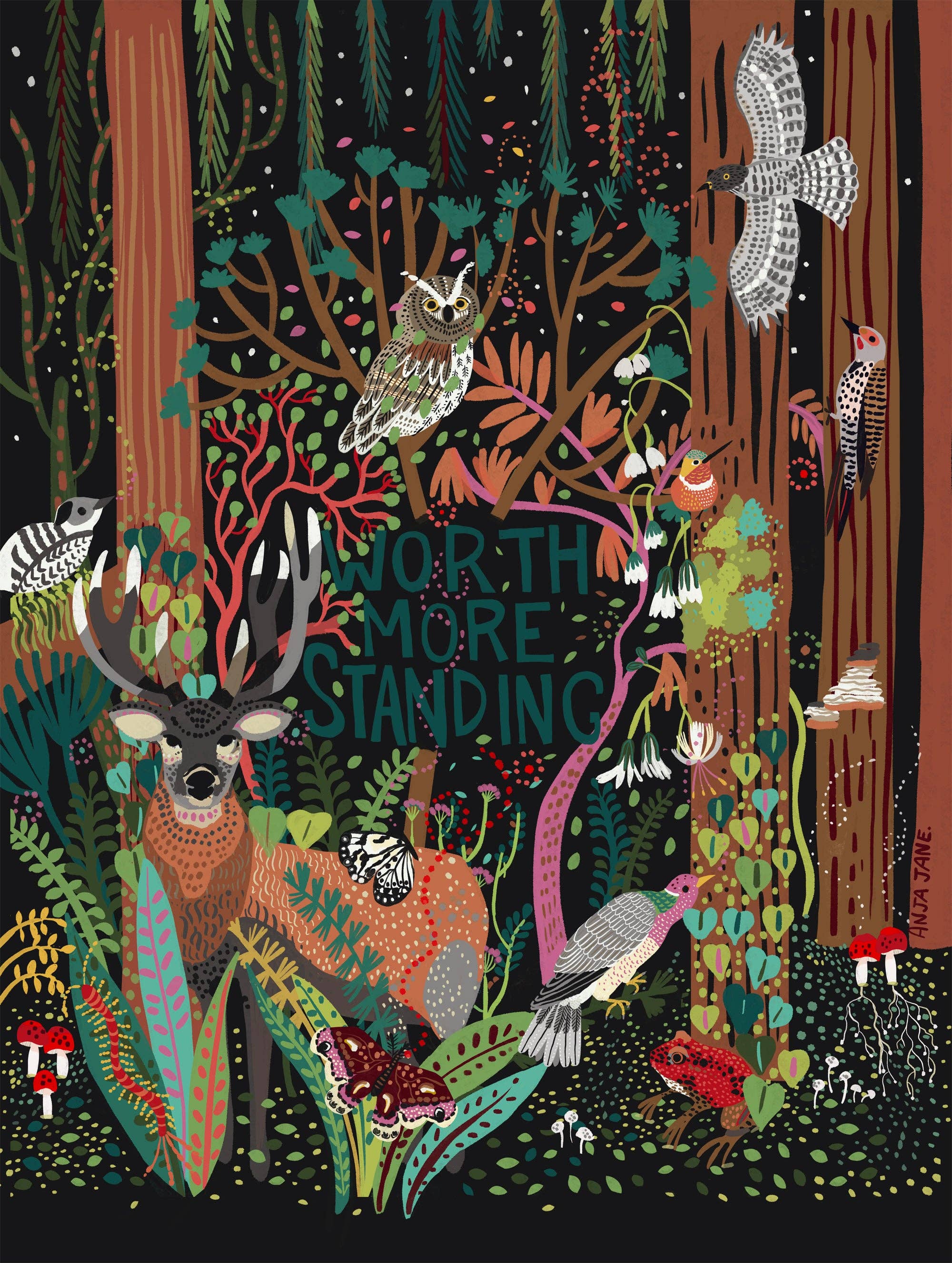 Anja Jane - Wholesale Art Print - Old Growth Forest Art Print1