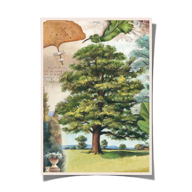 Bomo Art Budapest - Wholesale Art Print - Bomo Print A46