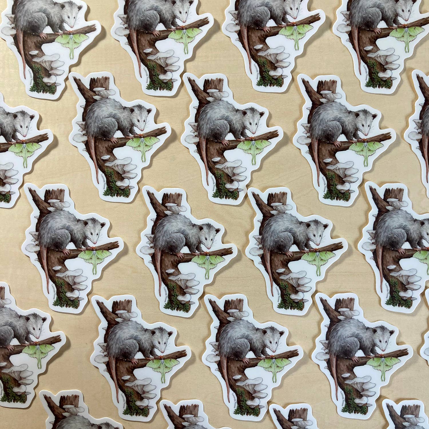 Lucinda Rowe Art - Wholesale Sticker - Sticker - Opossum with Luna Moth1