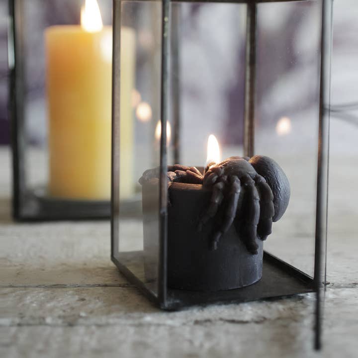 Big Dipper Wax Works - Wholesale Novelty Candle - Beeswax Spider Pillar