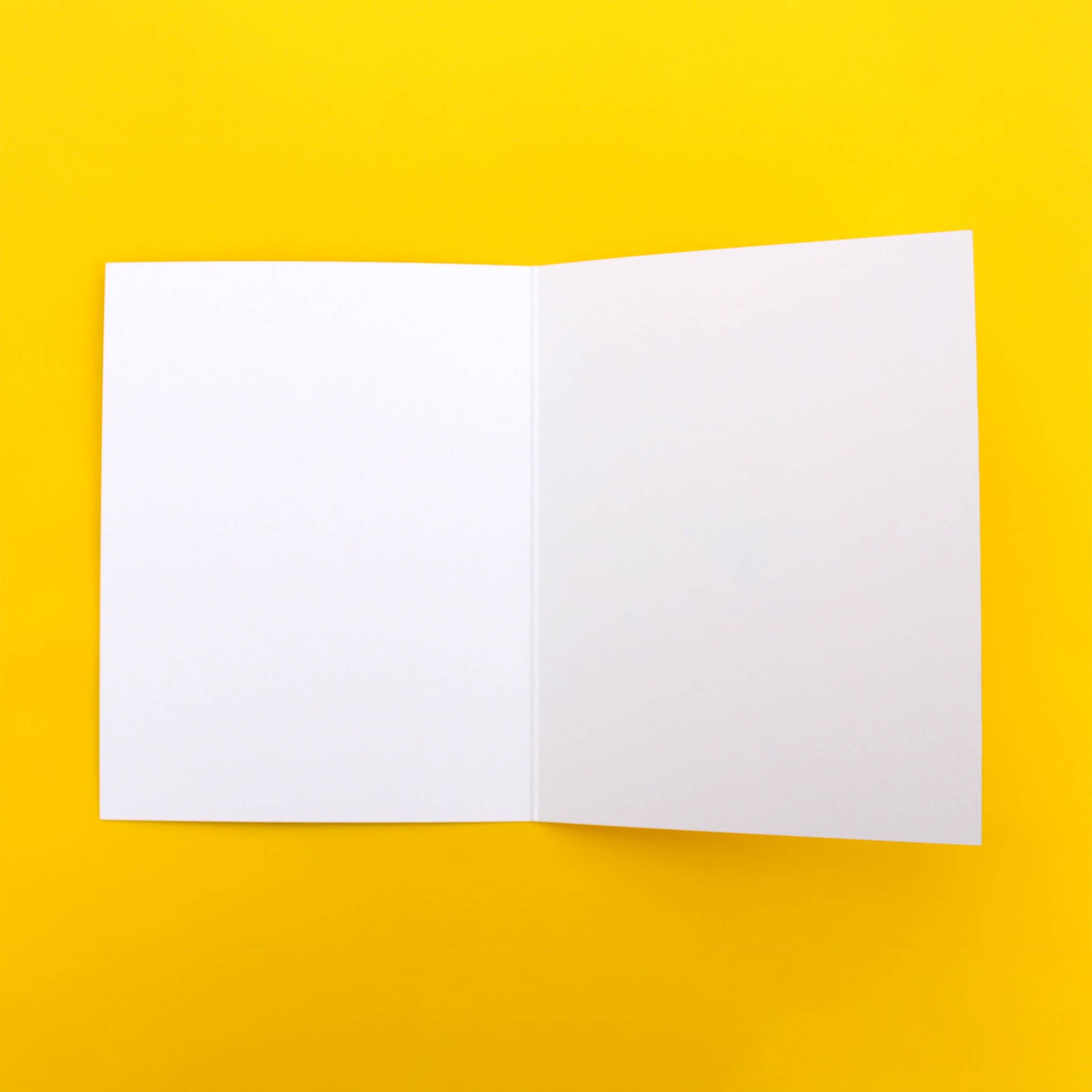 Klinger Creative - Wholesale Birthday Card - California Quail Birthday Card pun poppies botanical A2 bird1