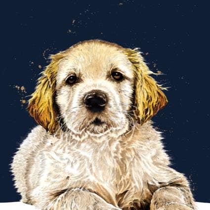 Some Ink Nice - Wholesale Art Print - Golden Retriever Puppy Art Print * A4 Dog Art * Dog Wall Art1