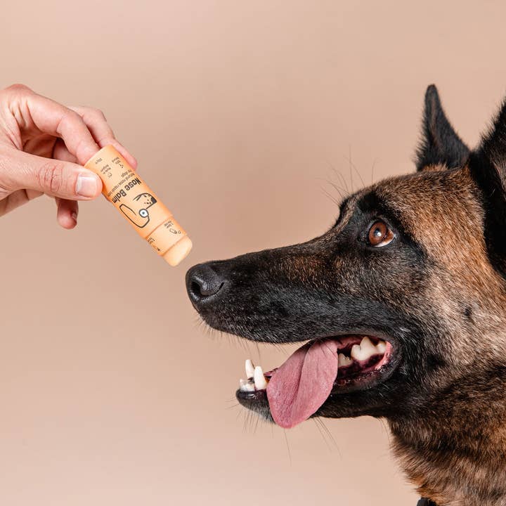 Butchcare - Wholesale Pet Balm - Dog - Nose balm stick1