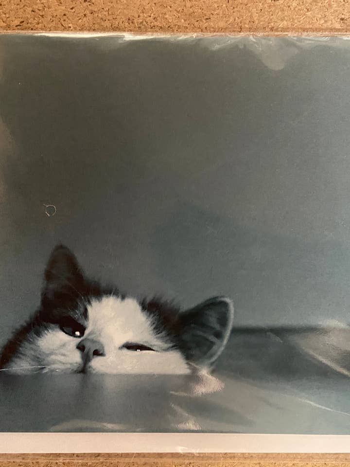 Inkognito Greeting Card 29501 for wholesale by Incognito