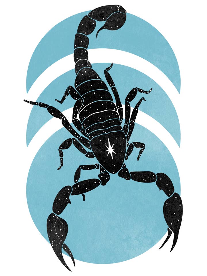 Scorpio Zodiac Print for wholesale by Growing Lines