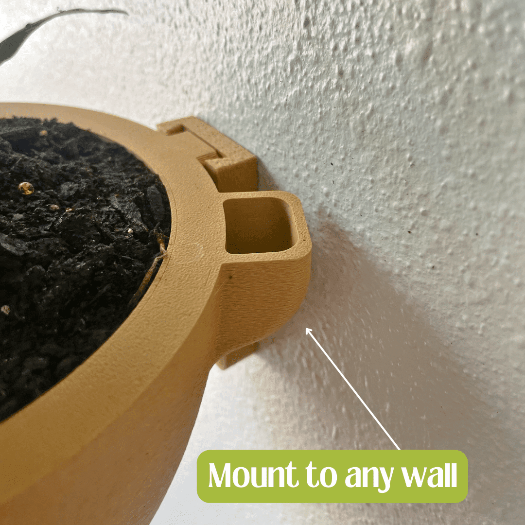 Chatelet - Wholesale Wall planter - Magic Wall Planters | Easy Care Self Watering Wall Planters with Internal Water Reservoir | Make Plant Care Easy6