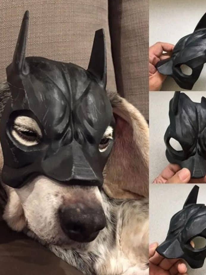 Dog Mask for Halloween and Nefarious Acts and other Purchase Wholesale halloween masks. Free Returns & Net 60 Terms on Faire trending on Faire.