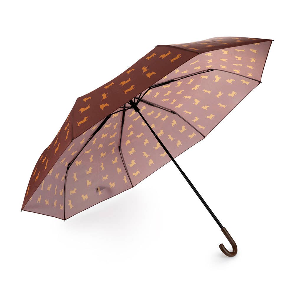 Balvi - Wholesale Umbrella - Unisex - Umbrella, Puppymbrella, brown, with cover, nylon2