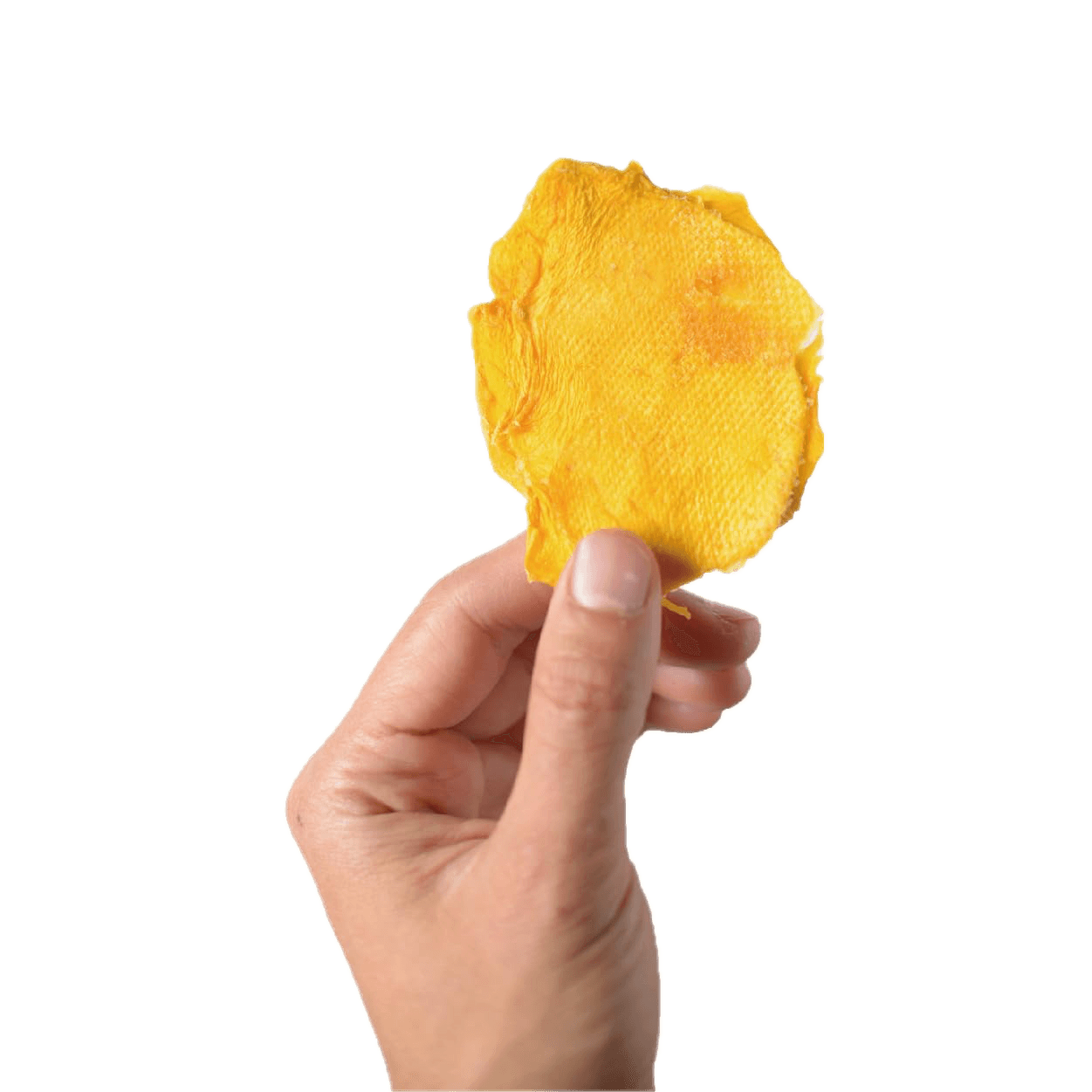 OSO SNACKS – wholesale Dried/dehydrated fruit – Dried Organic Mango Slices - 23 Oz Bag1