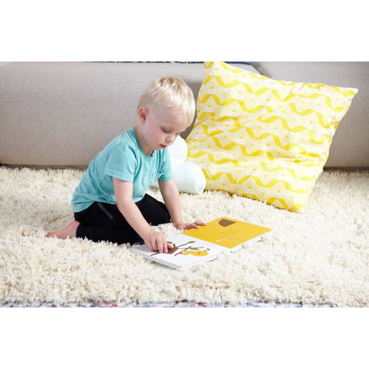 Chronicle Books - Wholesale Preschool Book (3-5) - TouchThinkLearn: Fly!4