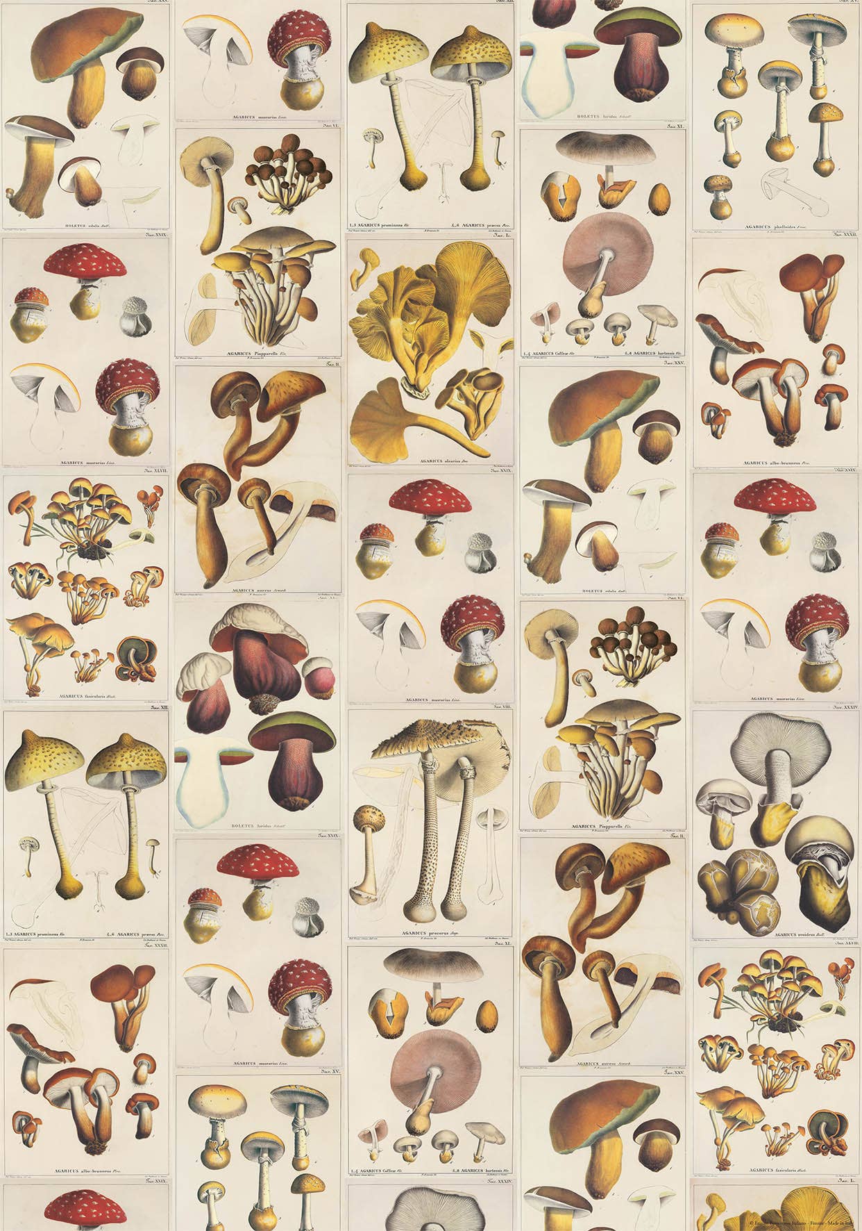 San Lorenzo Design - Wholesale Poster - Vintage Art Posters, Instituto Fotochromo Italiano, Classic101