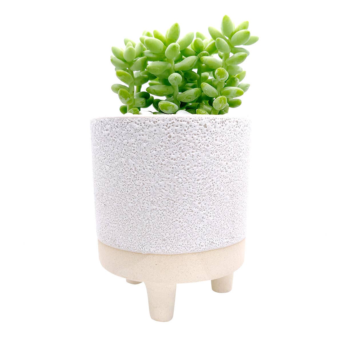 Best Plant Friend - Wholesale Plant Pot - Cute Footed Pot - Succulent Planter
- Ceramic Pots For Plant4