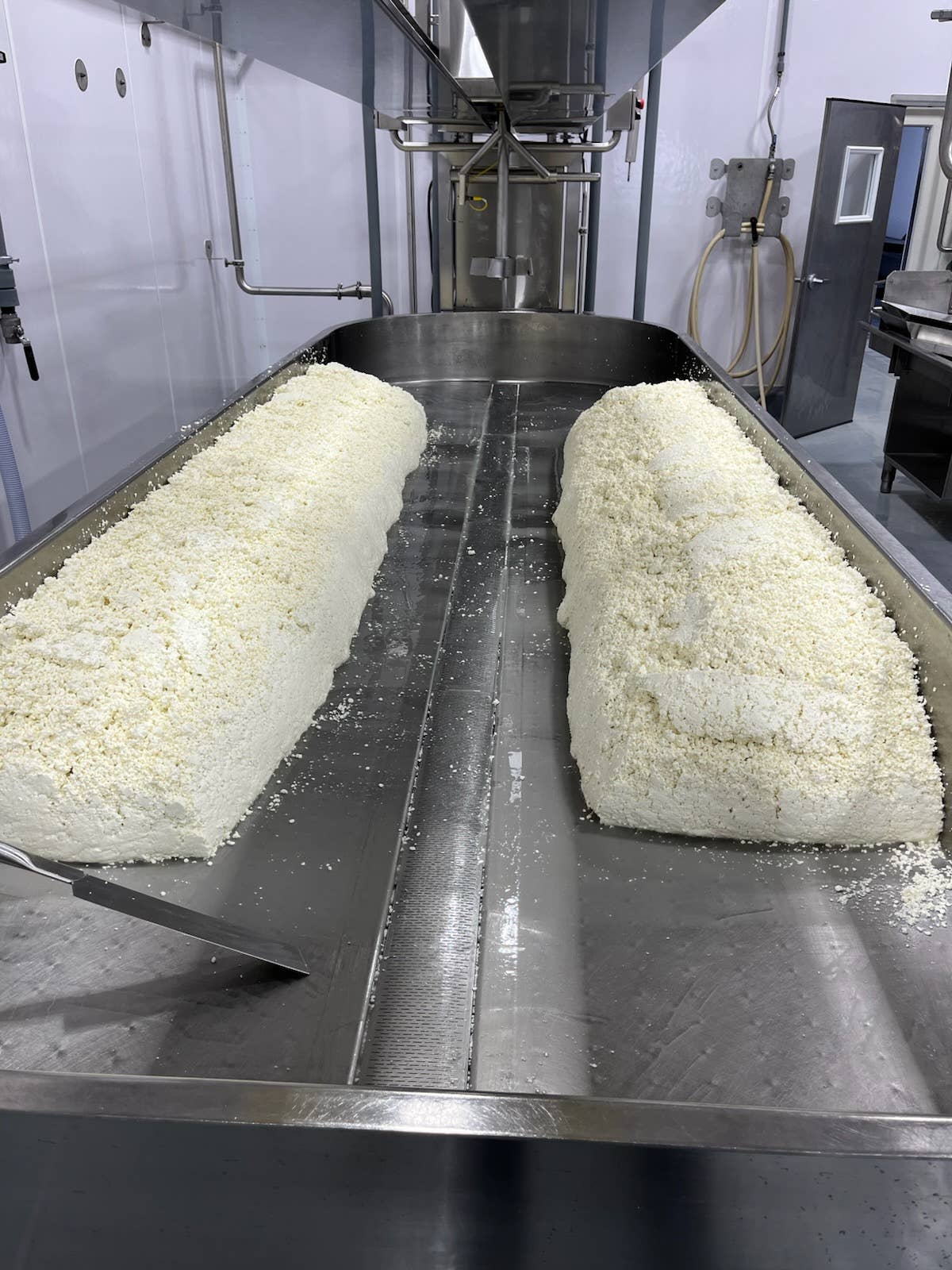 Kasemeister Creamery - Wholesale Cheese - Mild Cheddar Cheese Curds2