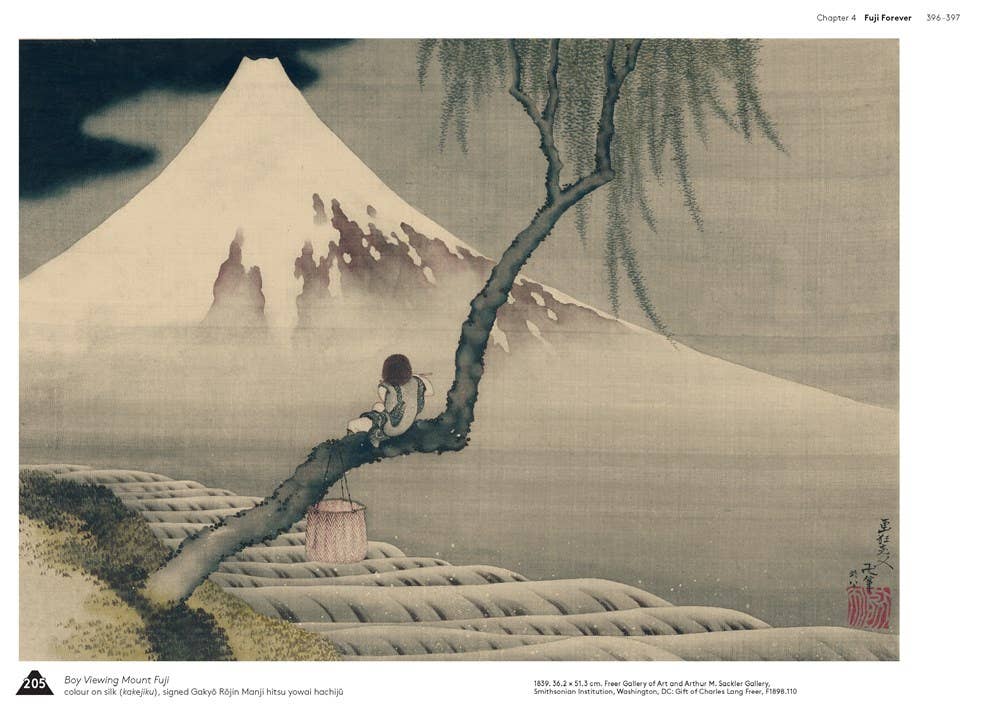 W. W. Norton - Wholesale Arts & Entertainment - Hokusai's Fuji10