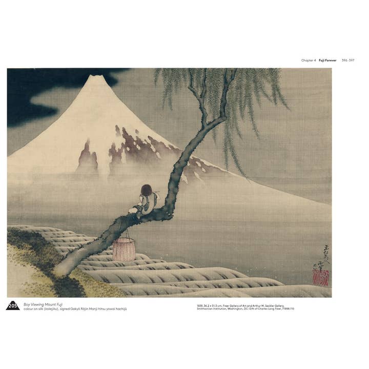 W. W. Norton - Wholesale Arts & Entertainment - Hokusai's Fuji10