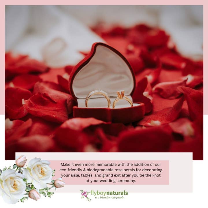 Flyboy Naturals Rose Petals - Wholesale Dried/pressed flowers - Romantic Red Rose Petals – 30 Cups Real • Freeze-Dried • USA15